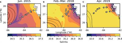 Defining the Realized Niche of the Two Major Clades of Trichodesmium: A Study on the West Florida Shelf